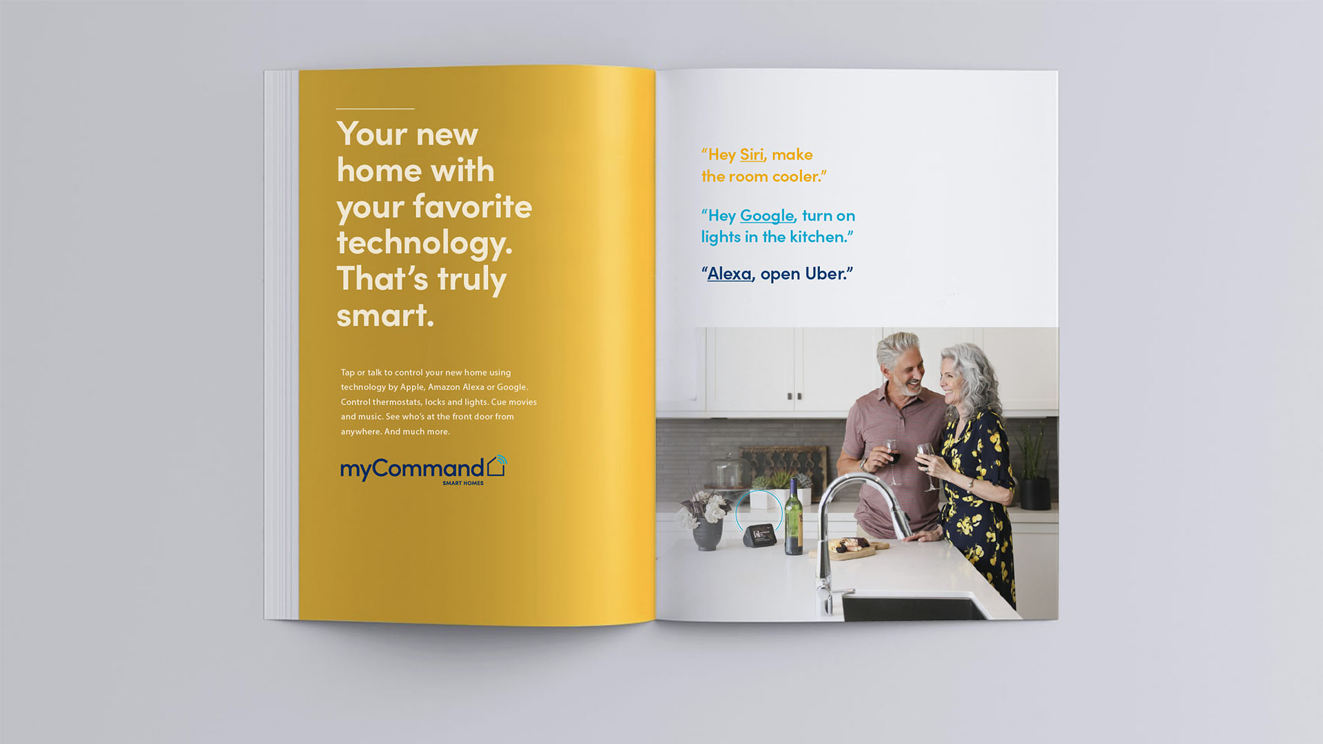 myCommand - Book explaining Smart Home Technology