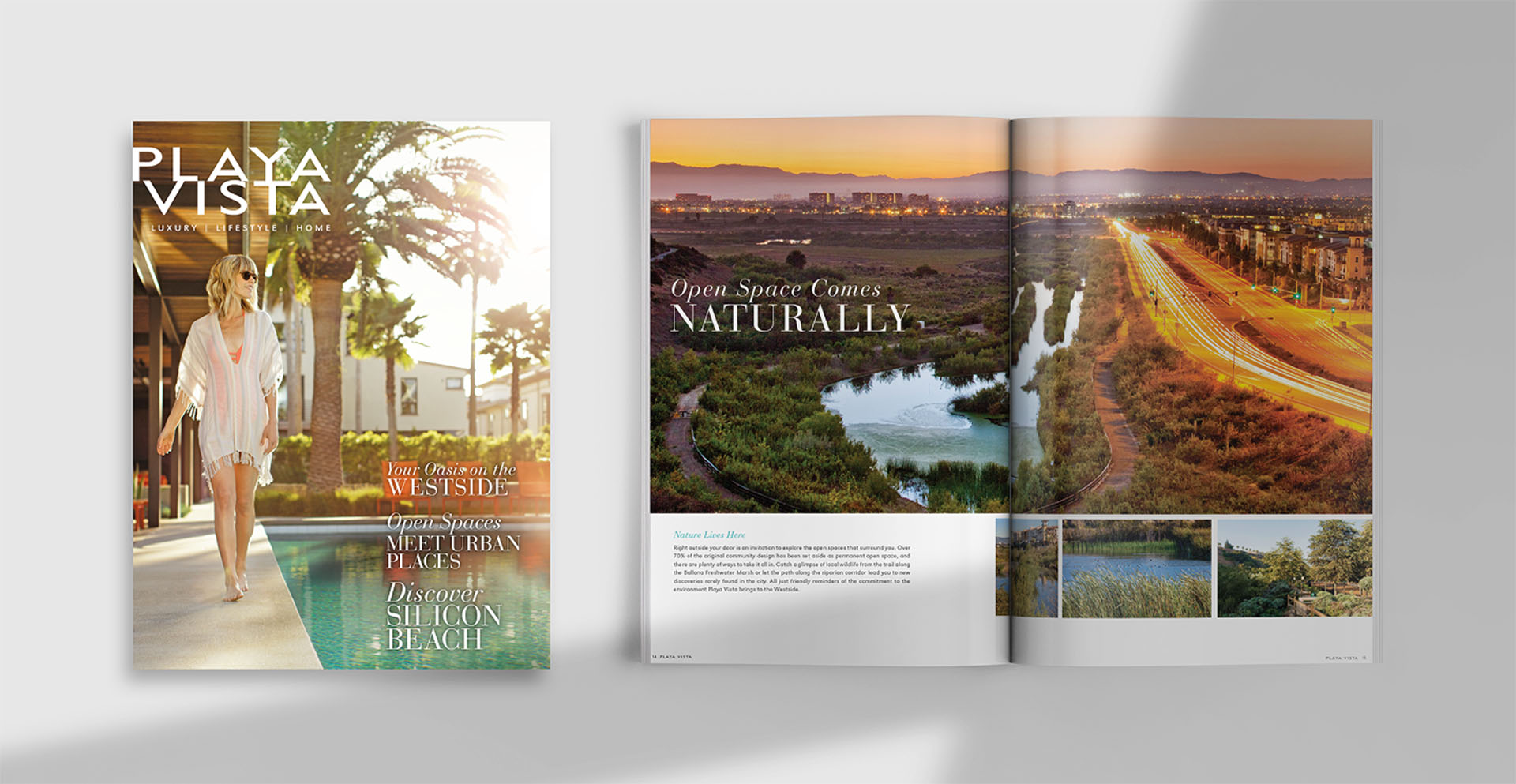 Playa Vista Brochure